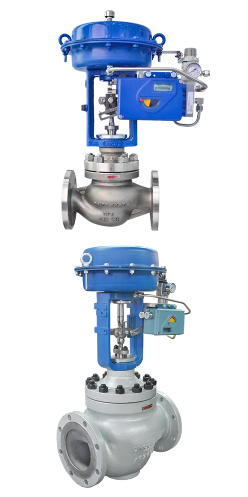 Globe Control Valves